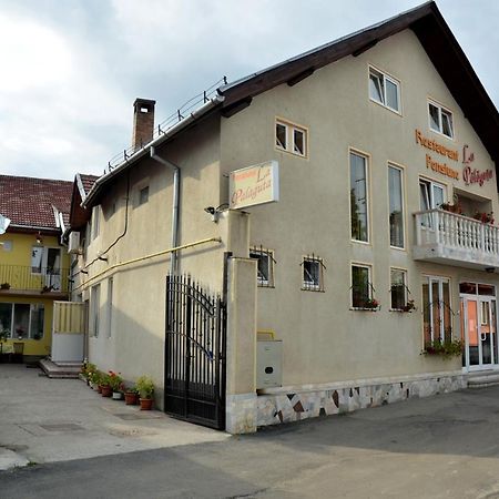 Pensiunea La Palaguta Бая Маре Екстериор снимка
