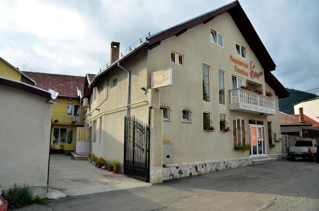 Pensiunea La Palaguta Бая Маре Екстериор снимка